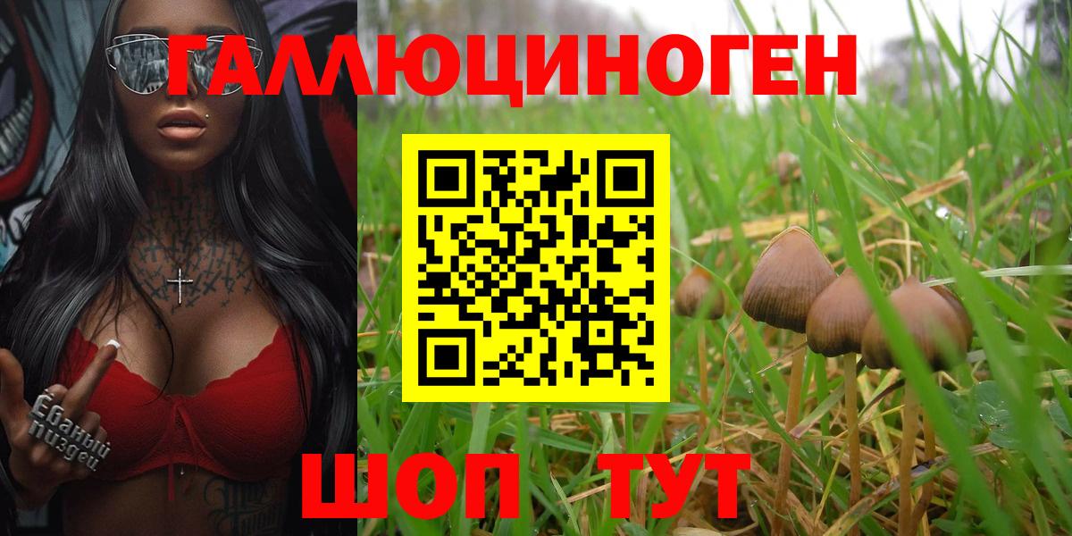 Прокопьевск  Галлюциногенные грибы GOLDEN TEACHER  Псилоцибиновые грибы Cubensis  Вход с VPN 